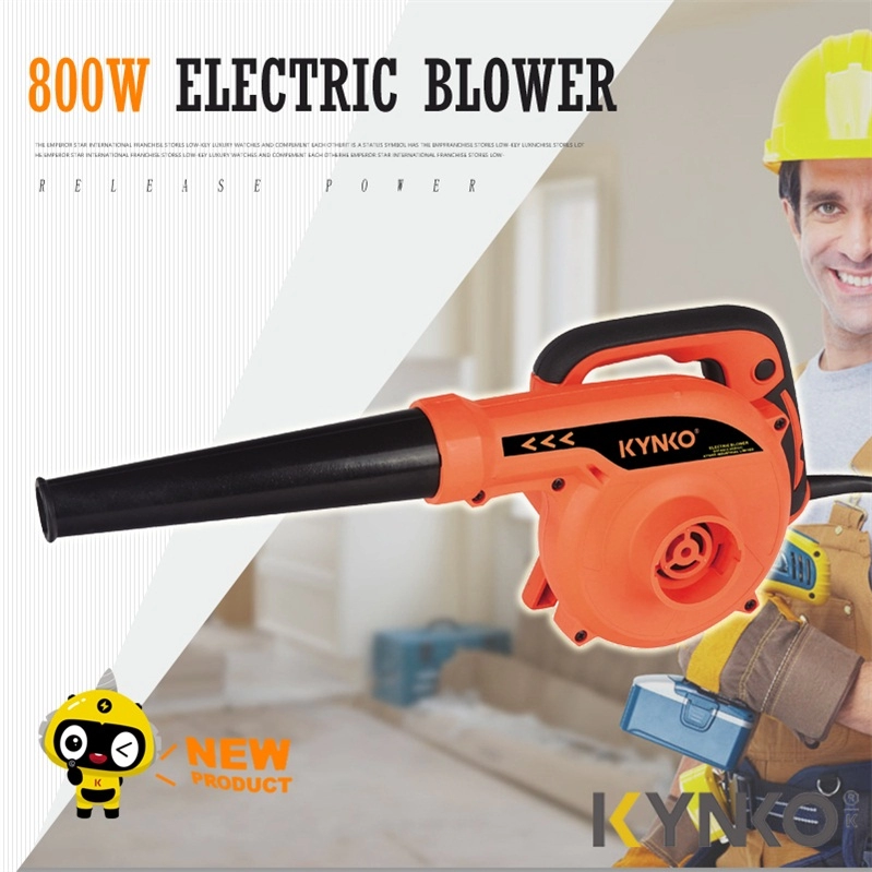 800W Güçlü Profesyonel Elektrikli Blower