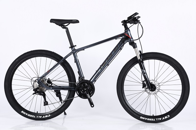 high carbon steel Mountain Bike