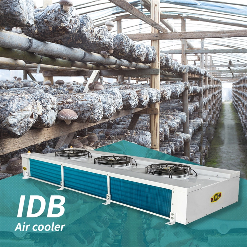 Sebze serası IDB serisi soğutma sistemi evaporatörü