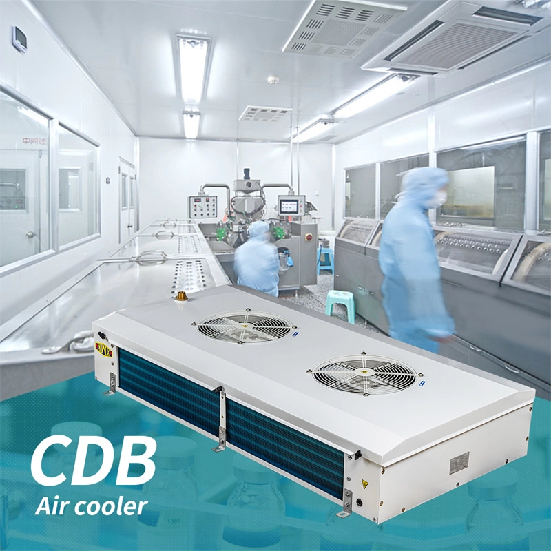 Soğuk hava deposu için CDB Endüstriyel hava soğutucu