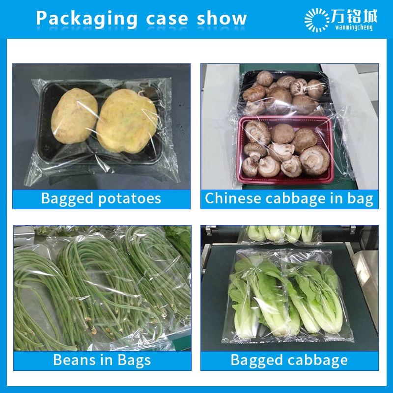 Ekonomik brokoli paketleme makinesi, salatalık ve domates tepsisi paketleme makinesi