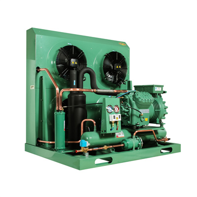 Bitzer Cold Room Compressor