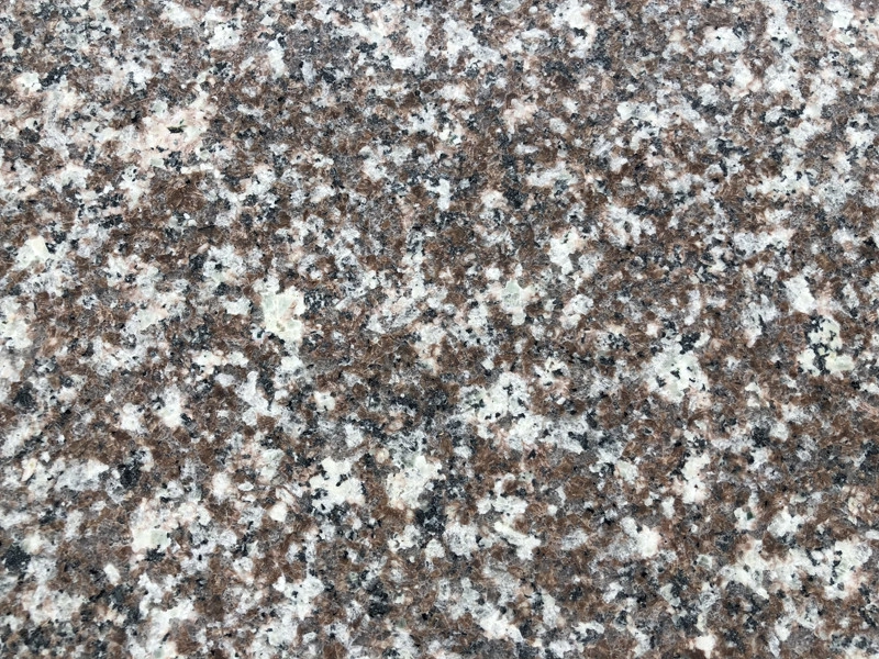 G664 Bainbrook Kahverengi Granit Mutfak Tezgahı Maun Granit Vanity Top