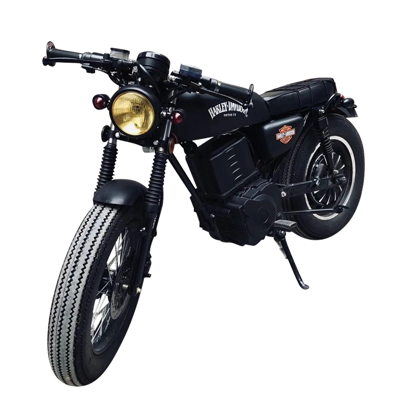 3000w 5000W Moto Elektrikli 17 inç Motosiklet E Yarış Motosikletleri 100km menzilli Motosiklet