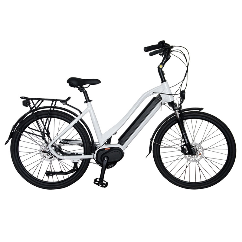 Sıcak satış moda 36v 350w bisiklet elektrikli 48v yüksek kaliteli fırçasız göbek motoru ile 20 inç ebike yağ lastiği