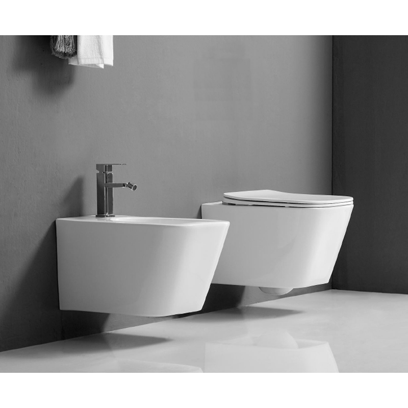 wall_mounted_white_ceramic_bidet_Wand-Hänge_WC_set_Hangbidet-set_NEUNAS_T316