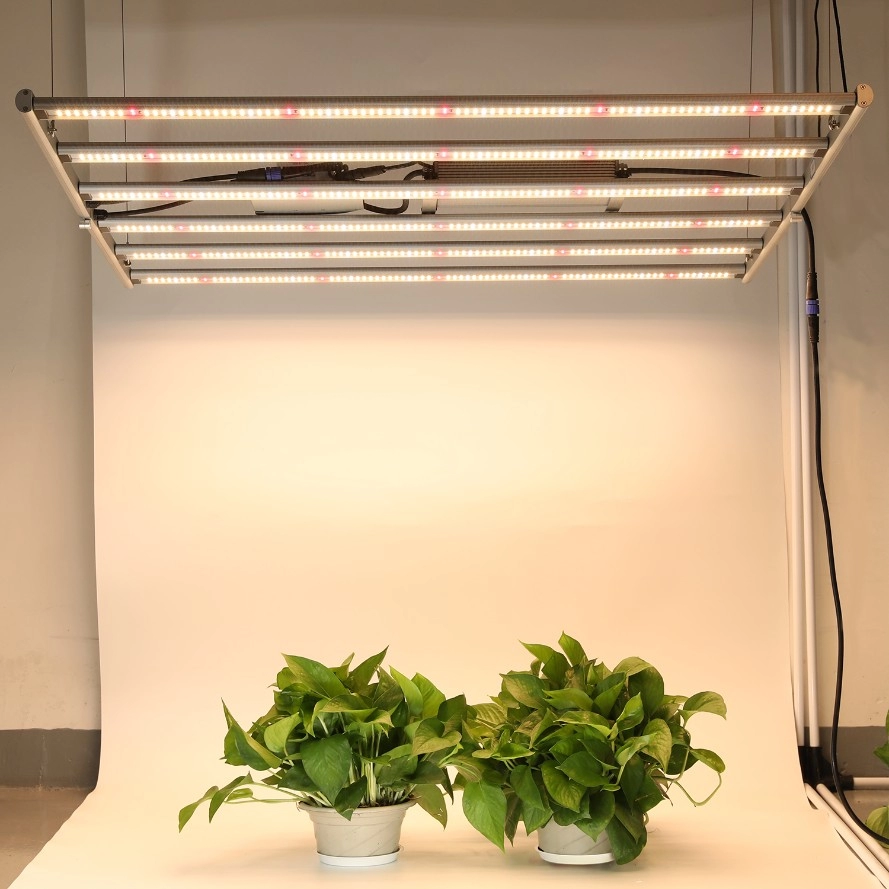 600W Katlanabilir Sebze Çiçeği, harici sürücülü LED Grow Işıkları
