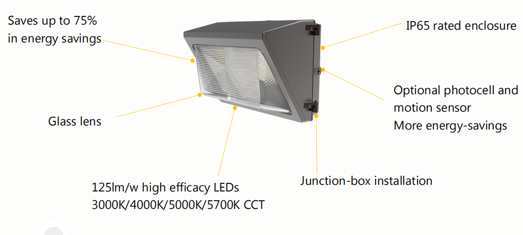 50W Standart duvar paketi ışığı