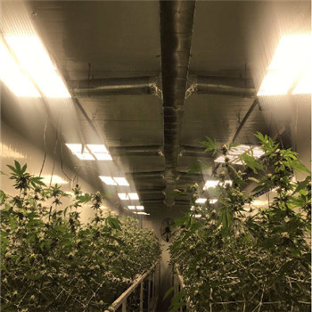 Su geçirmez IP65 İç mekan yüksek verimli led bitki büyüme ışığı