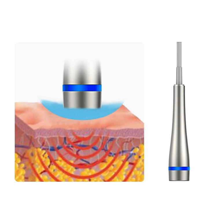 LDM Noblesse 10MHz Ultrason Tedavisi 3'ü 1 Arada Ultrasonik Kırışıklık Güzellik Zayıflama Cihazı Yüz Bakım Aleti Kaldırma