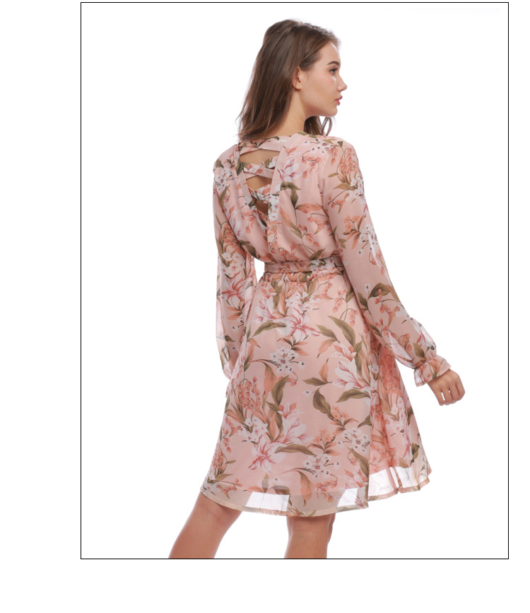 long sleeve v neck chiffon dress