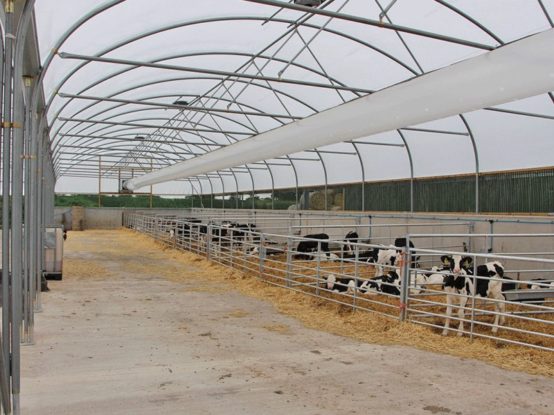 Düşük maliyetli çelik yapı kümes hayvanı yetiştirme barakaları