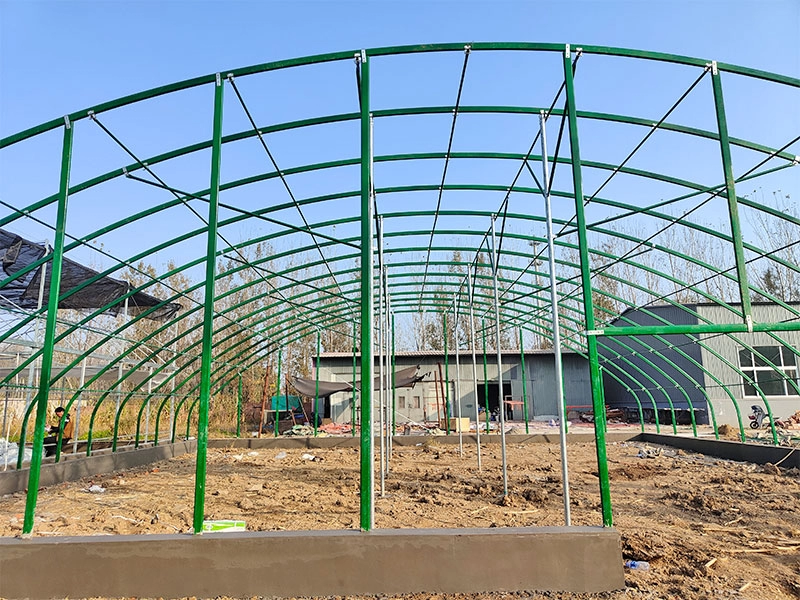 Düşük maliyetli çelik yapı kümes hayvanı yetiştirme barakaları