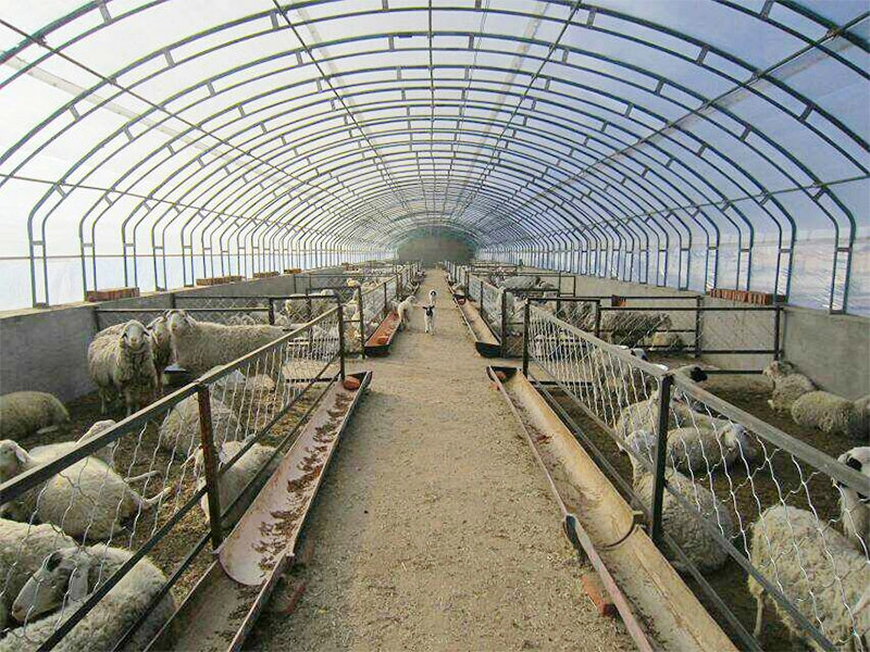 Ucuz hafif çelik hayvancılık barınağı sığır keçi yetiştiriciliği tarım kulübesi
